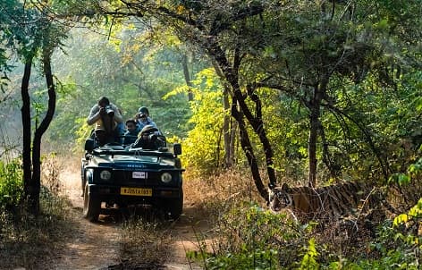 City of Ranthambore
