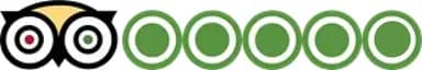TripAdvisor Reviews