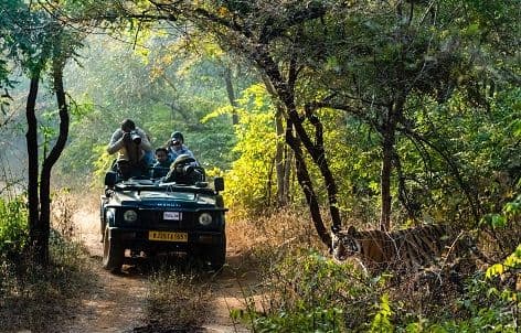 City of Ranthambore
