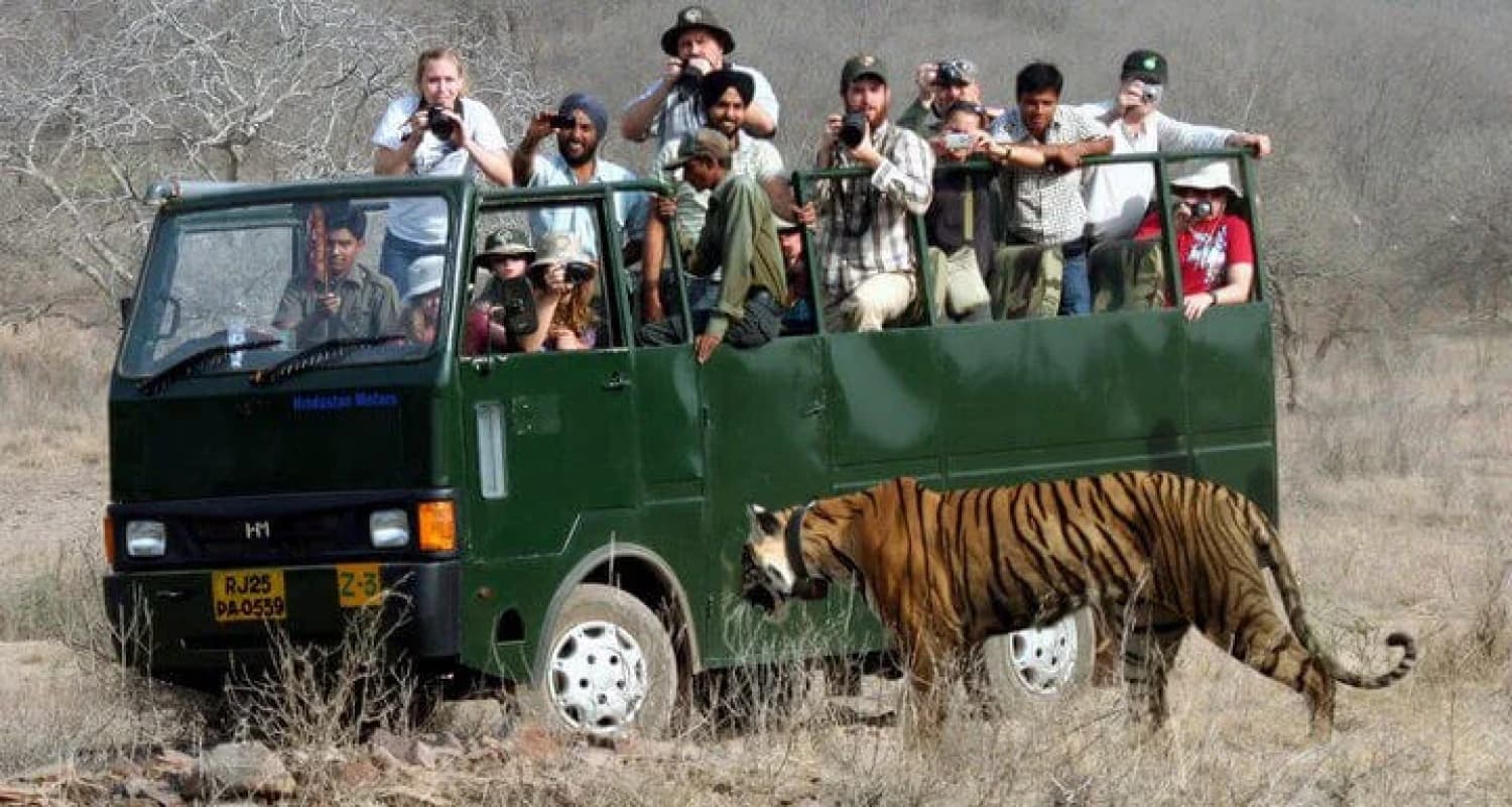 Tiger Safari Jeep Tour at Ranthambore National Park India Ranthambore Tiger Safari