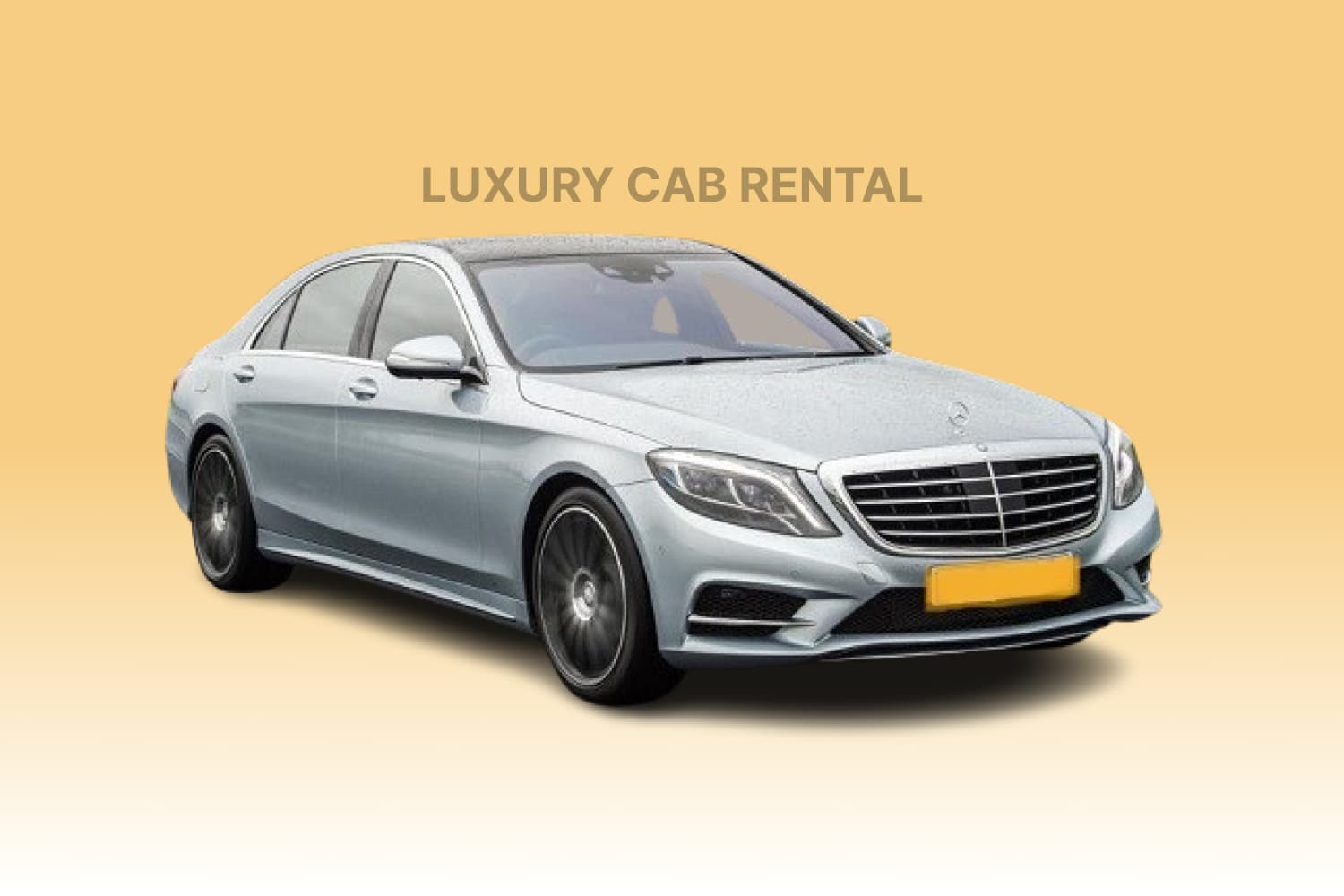 Elegant Mercedes S Class luxury cab rental service in Ranthambore Mercedes S Class luxury cab rental in Ranthambore